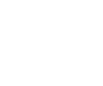 Logo Bontronic