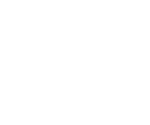 Logo technisonic