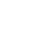 Logo Nozomi Network